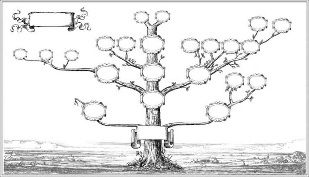 Co to ​jest drzewo ‍genealogiczne?